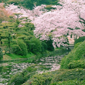 道後温泉本館